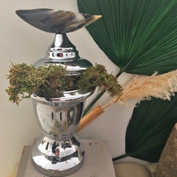 Horn Lid Vase