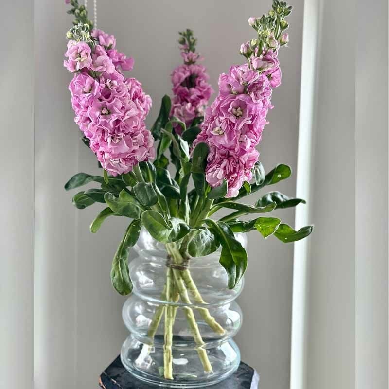 Transparent Glass Carboy Vase