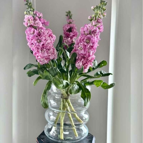 Transparent Glass Carboy Vase