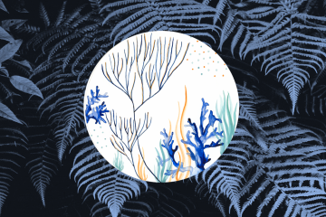 Marine Melamin Pasta Tabağı/ 4'lü Set