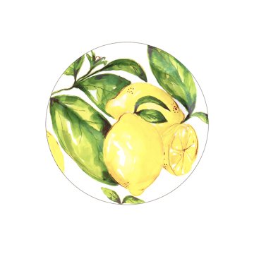 Citrus Melamin Servis Tabağı/ 4'lü Set