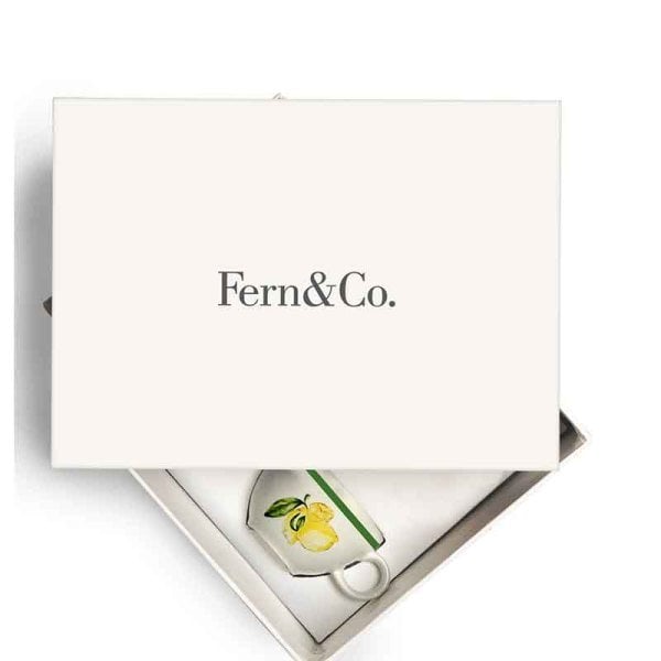 Citrus Porselen 2'li Çay Fincan Seti / Hediye Kutulu