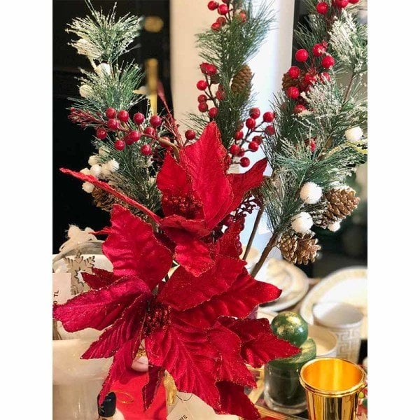 صدمت بروتيا