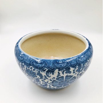 Bleu Blanc Orkide Saksısı M