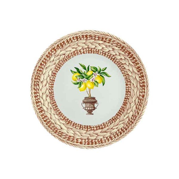 Lemon Tree Tabak 23cm