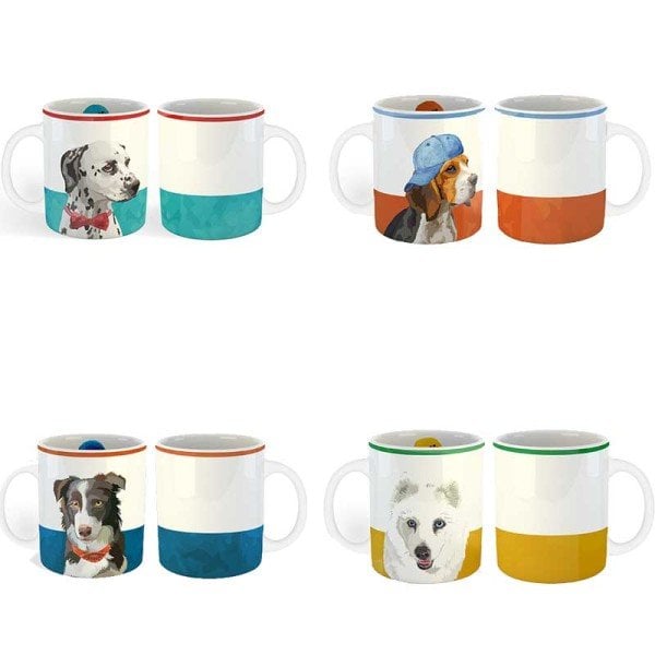 Alexis Collection 4’lü Kupa Seti / Hediye Kutulu